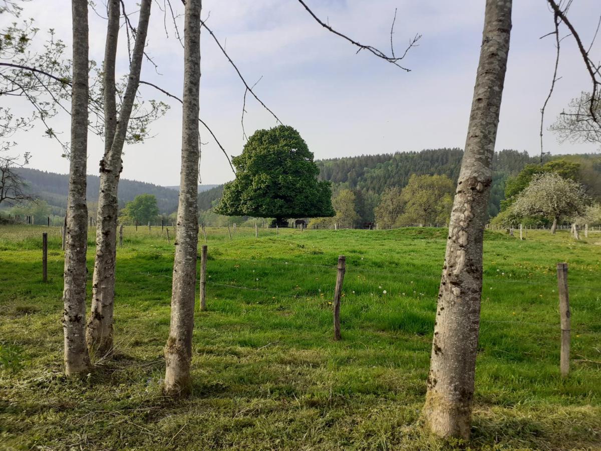 Le Repos Du Nomade B&B 7 Personnes Manhay Eksteriør billede